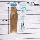 Волосы - тресс для кукол «Прямые» длина волос: 25 см, ширина:100 см, цвет № 15 - фото 297911544