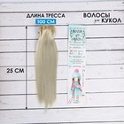 Волосы - тресс для кукол «Прямые» длина волос: 25 см, ширина: 100 см, цвет № 88 - фото 3682139