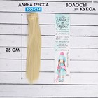 Волосы - тресс для кукол «Прямые» длина волос: 25 см, ширина: 100 см, цвет № 613 - фото 297911552