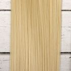 Волосы - тресс для кукол «Прямые» длина волос: 25 см, ширина:100 см, цвет № 613А - фото 8334304