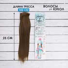 Волосы - тресс для кукол «Прямые» длина волос: 25 см, ширина: 100 см, цвет № 18Т - фото 8573870