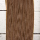 Волосы - тресс для кукол «Прямые» длина волос: 25 см, ширина: 100 см, цвет № 18Т - фото 8334307