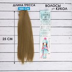 Волосы - тресс для кукол «Прямые» длина волос: 25 см, ширина:100 см, цвет № 24 - фото 3803818