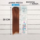 Волосы - тресс для кукол «Прямые» длина волос: 25 см, ширина:100 см, цвет № 30В - Фото 1