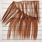 Волосы - тресс для кукол «Прямые» длина волос: 25 см, ширина:100 см, цвет № 30В - фото 3803824