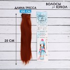 Волосы - тресс для кукол «Прямые» длина волос: 25 см, ширина:100 см, цвет № 13 - фото 3682163