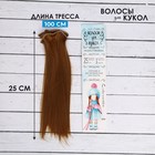 Волосы - тресс для кукол «Прямые» длина волос: 25 см, ширина:100 см, цвет № 27А - фото 8334326