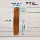 Волосы - тресс для кукол «Прямые» длина волос: 25 см, ширина:100 см, цвет № 27В - фото 8573890