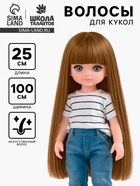 Волосы - тресс для кукол «Прямые» длина волос: 25 см, ширина:100 см, цвет № 27В - Фото 1