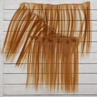 Волосы - тресс для кукол «Прямые» длина волос: 25 см, ширина:100 см, цвет № 27В - фото 8334331