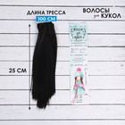 Волосы - тресс для кукол «Прямые» длина волос: 25 см, ширина:100 см, цвет № 1В - фото 10902916