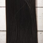 Волосы - тресс для кукол «Прямые» длина волос: 25 см, ширина:100 см, цвет № 1В - фото 8334339