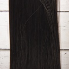 Волосы - тресс для кукол «Прямые» длина волос: 25 см, ширина:100 см, цвет № 1В - Фото 2