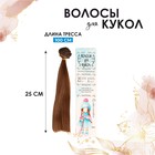 Волосы - тресс для кукол «Прямые» длина волос: 25 см, ширина:100 см, цвет № 12 - фото 108325830