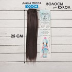 Волосы - тресс для кукол «Прямые» длина волос: 25 см, ширина: 100 см, цвет № 2 - фото 3682187