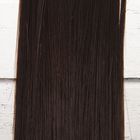 Волосы - тресс для кукол «Прямые» длина волос: 25 см, ширина: 100 см, цвет № 2 - фото 3803856