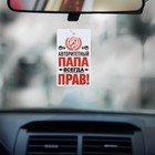 Ароматизатор в авто «Папа прав!», аромат: цитрусовый микс - Фото 2