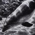 Полотенце махровое Этель ЧБ «Дельфин», пестроткань, 70х130 см - Фото 2