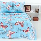 Постельное бельё 1,5сп Ночь нежна Лунная соната гол 145х210, 150х210, 70х70 2шт, хлопок 100 гр/м - Фото 1