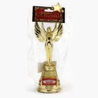 Кубок наградная фигура Ника «Самая лучшая жена», пластик, золото, 19.5 см - Фото 6