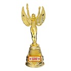 Кубок наградная фигура Ника «Лучший доктор», пластик, золото, 19,3 х 7 см. - фото 8574166