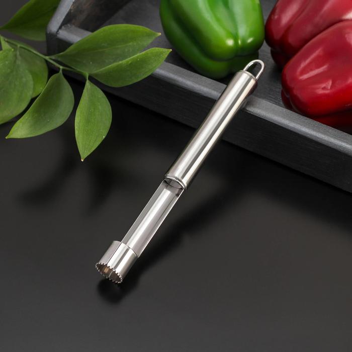 Нож для сердцевины Доляна «Металлик», 21 см, цвет серебряный - Фото 1