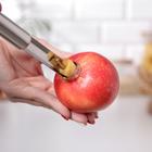 Нож для сердцевины Доляна «Металлик», 21 см, серебристый - Фото 3