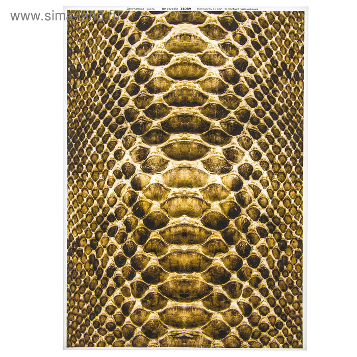 Кожа змеи фото Кожа змеи фото