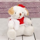 Мягкая игрушка-подвеска «Собачка», в колпаке и кофточке, цвета МИКС - Фото 1