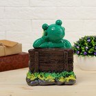 Садовая фигура "Лягушка на лавке", зелёный цвет, 20 см, микс - Фото 5