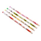 Карандаш чернографитный твёрдость НВ «Фрукты/Ягоды» с ластиком, корпус круглый, шестигранный, МИКС, цена за 1 штуку - Фото 6