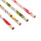 Карандаш чернографитный твёрдость НВ «Фрукты/Ягоды» с ластиком, корпус круглый, шестигранный, МИКС, цена за 1 штуку - Фото 8