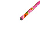 Карандаш чернографитный твёрдость НВ «Фрукты/Ягоды» с ластиком, корпус круглый, шестигранный, МИКС, цена за 1 штуку - Фото 12