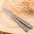 Нож-бабочка «Аргус», 17 см, клинок 69 мм/1 мм, серебристый - Фото 1