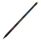 Карандаш чернографитный Calligrata, НВ, с ластиком, пластиковый, чёрный корпус с цветным узором - Фото 1