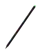 Карандаш чернографитный Calligrata, НВ, с ластиком, пластиковый, чёрный корпус с цветным узором - Фото 2