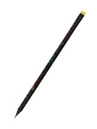 Карандаш чернографитный Calligrata, НВ, с ластиком, круглый, пластиковый, чёрный корпус с рисунком 605137 - фото 10090374