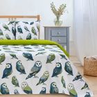Постельное бельё дуэт «Этель. Совушки», поплин - Фото 3