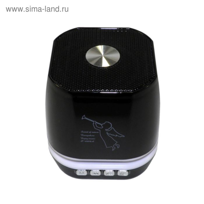 Портативная колонка Model-T2306, Bluetooth, USB, micro SD, FM, черная - Фото 1