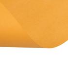 Бумага цветная А4, 100 листов Calligrata Интенсив, оранжевая, 80 г/м² - фото 8335140