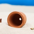 Декор керамический для аквариума "Укрытие для креветок", 4 х 3,9 х 3,9 см - фото 42833583