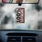 Ароматизатор в машину «100% мужик», аромат: океан - Фото 2