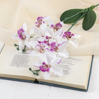 Цветы искусственные "Орхидея Фаленопсис мультифлора" 6х37 см, бело-сиреневый - фото 320003916