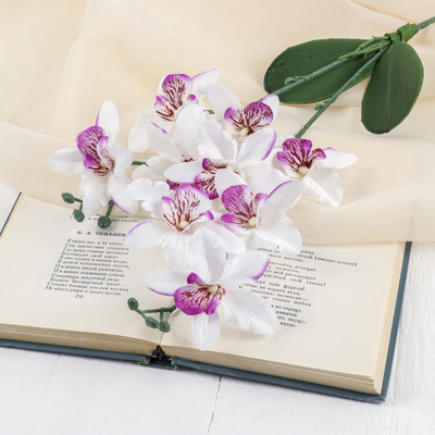 Цветы искусственные "Орхидея Фаленопсис мультифлора" 6х37 см, бело-сиреневый