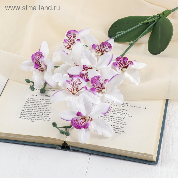 Цветы искусственные "Орхидея Фаленопсис мультифлора" 6х37 см, бело-сиреневый - Фото 1