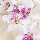 Цветы искусственные "Орхидея Фаленопсис мультифлора" 6х37 см, бело-сиреневый - Фото 2