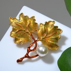 Брошь «Листья кленовые», цветная в золоте - фото 3683417
