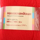 Пряжа "Новозеландская" 100% шерсть 250м/100гр (0042, красный) - Фото 3