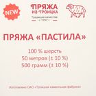 Пряжа "Пастила" 100% шерсть 50м/500гр (0813, светлые сумерки) - Фото 3