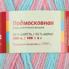 Пряжа "Подмосковная" 50% шерсть, 50% акрил 250м/100гр (4152, секционная) - Фото 3